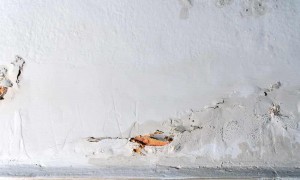 Vấn đề ẩm mốc tường: cách khắc phục